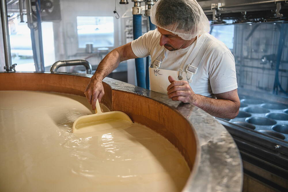 kaeseherstellung2-1000-1000.jpg kaeseherstellung2-1000-1000.jpg