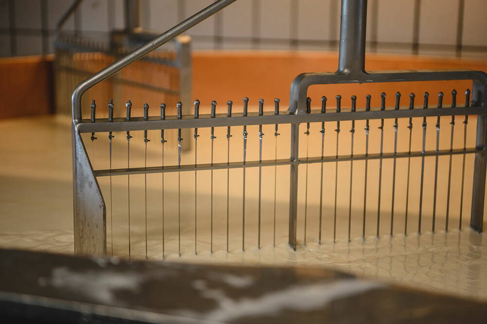 kaeseherstellung5-1000.jpg kaeseherstellung5-1000.jpg