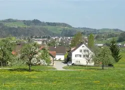 oip_5.webp oip_5.webp